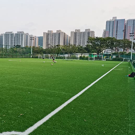 Turf Plus Football Grass