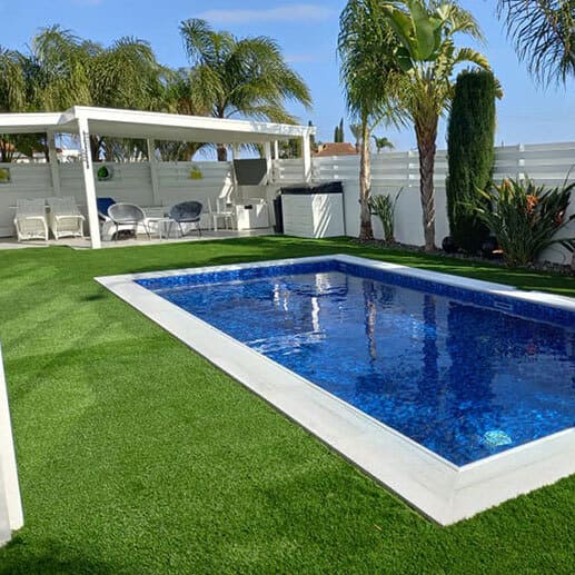 Garden Green Grass