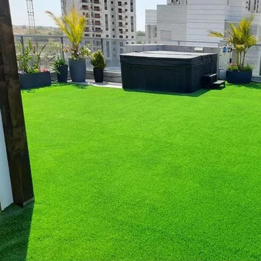 Natural Forest Grass