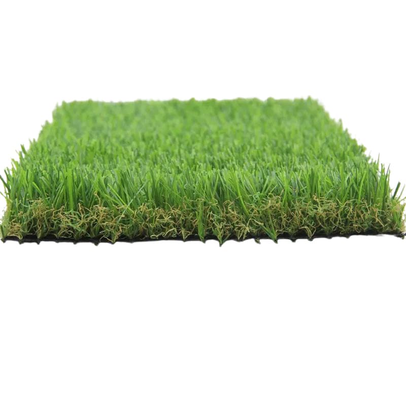 Natural Forest Grass