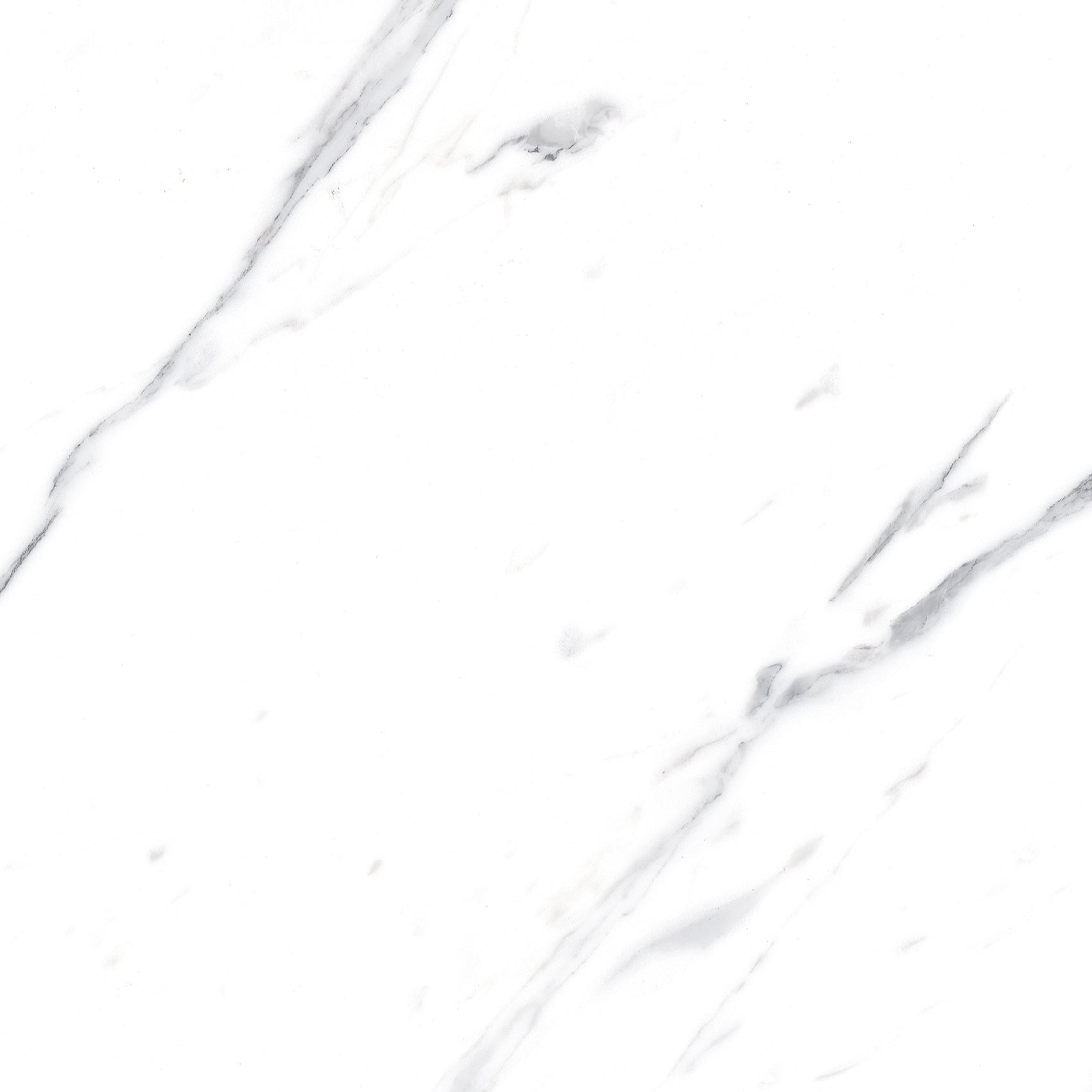 PORCELAIN FLOOR - WALL CARRARA 60X120