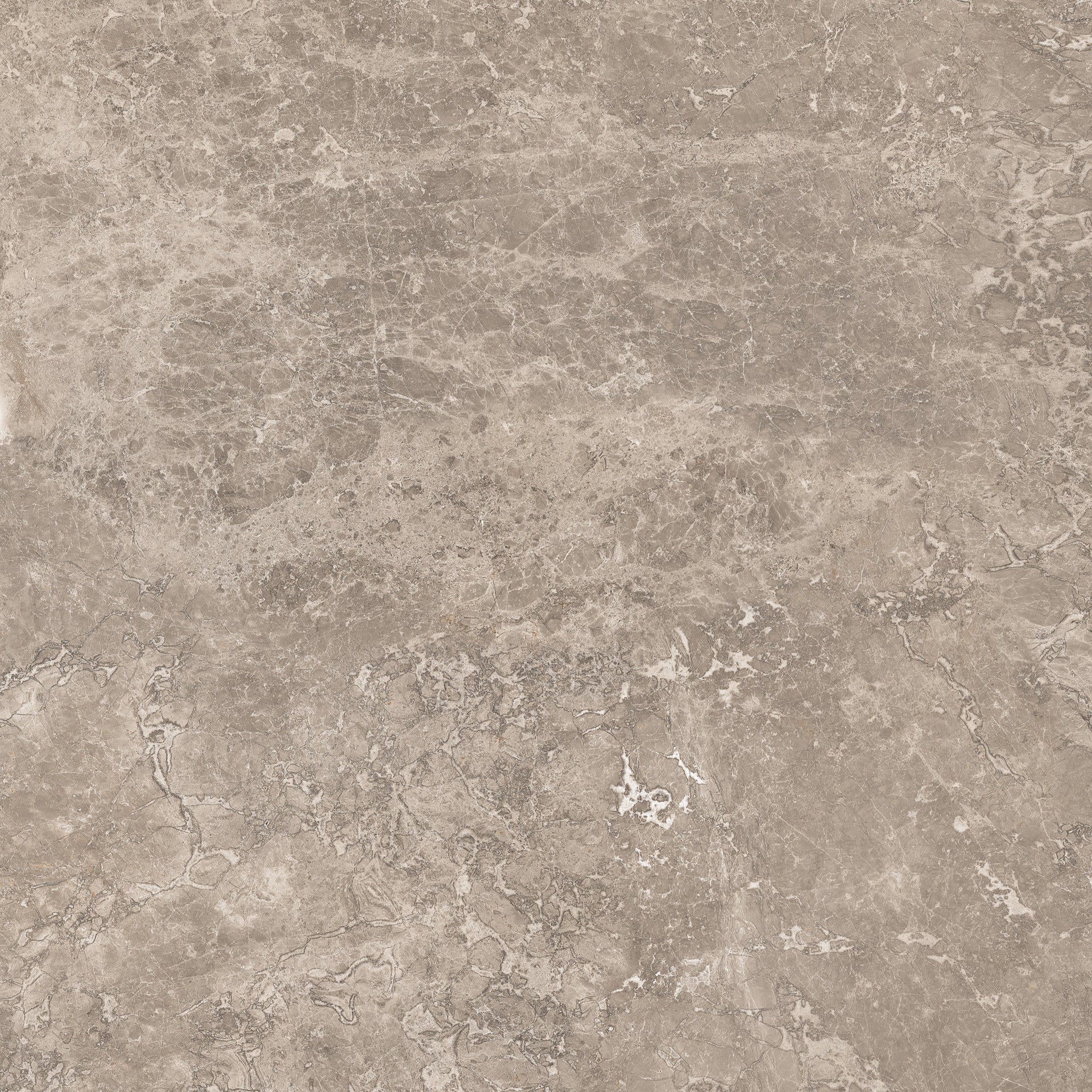 PORCELAIN FLOOR - WALL VITA GRAY 60X120