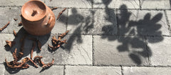 Pompeii Ambience